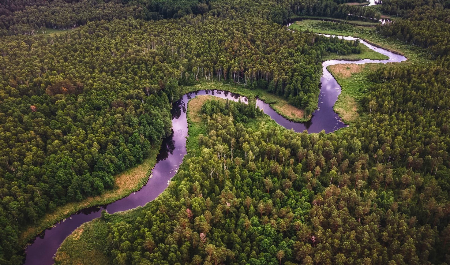 O Papel da Ciência na Proteção Socioambiental