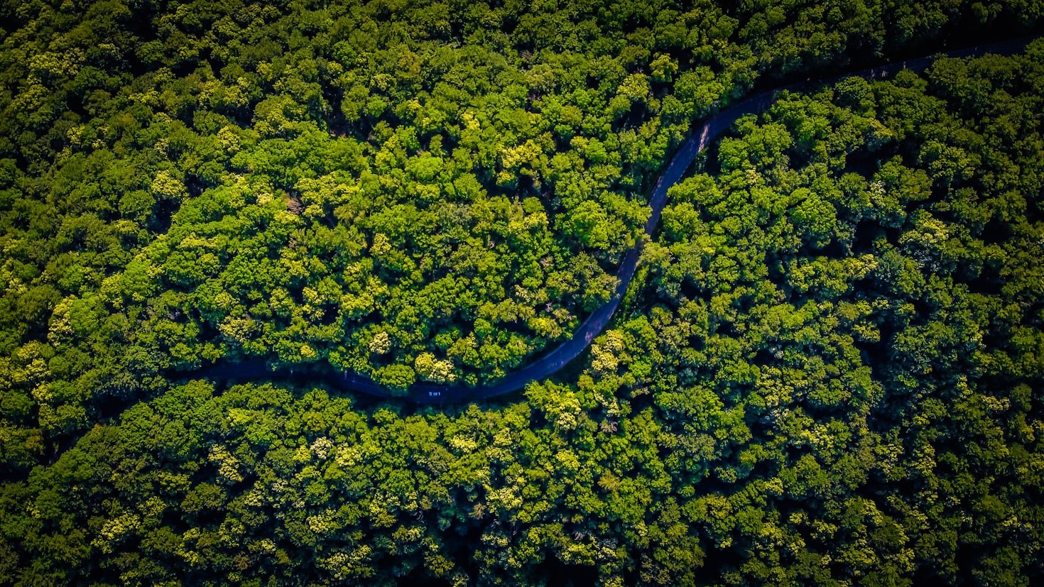Sustentabilidade e Práticas de Gestão na Amazônia